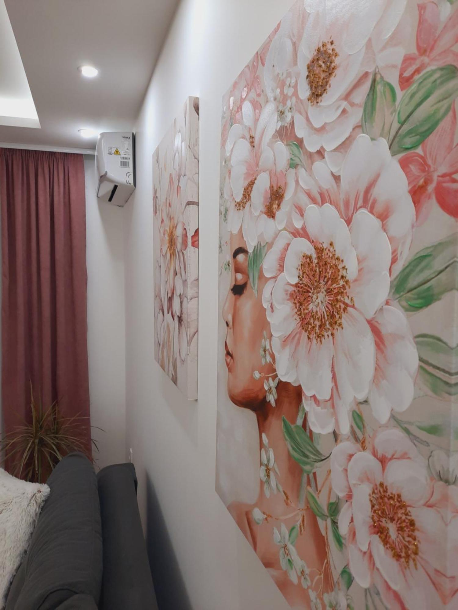 Apartman Kristal Sremska Mitrovica Esterno foto